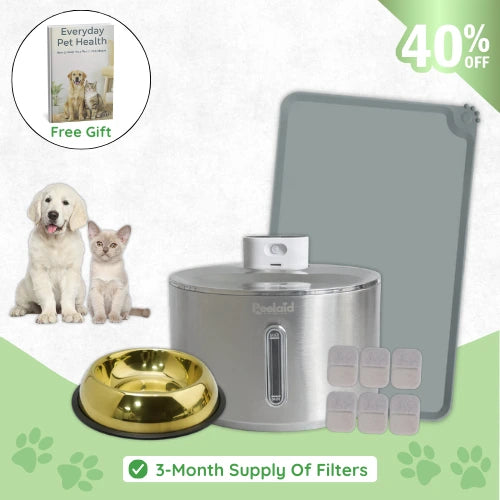 Peelaid™ - Fountain+Filters+Bowl+Mat - Bundle