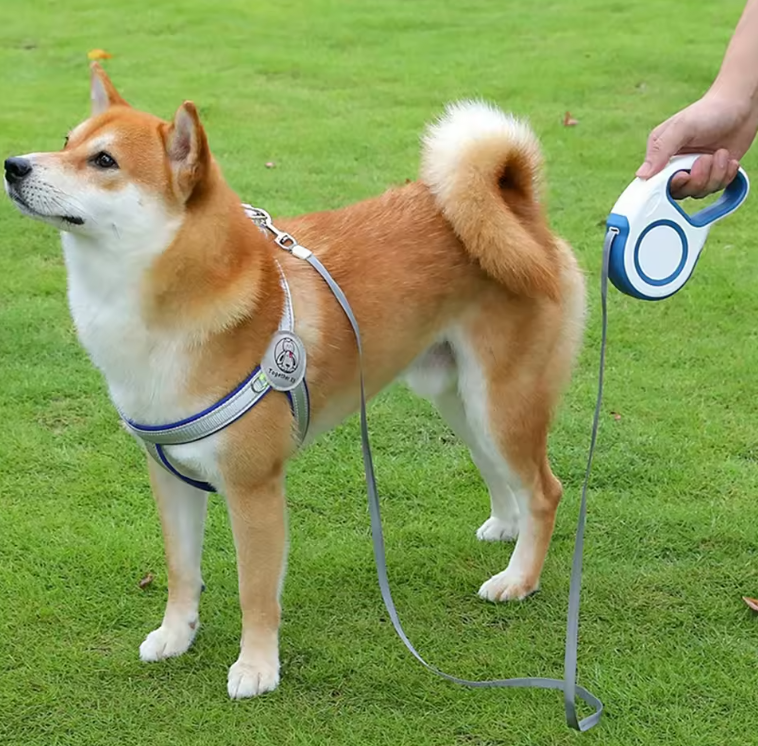 Peelaid™ Retractable Dog Leash