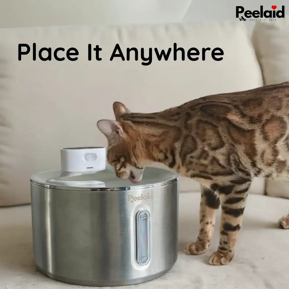 Peelaid™ SST Wireless Fountain