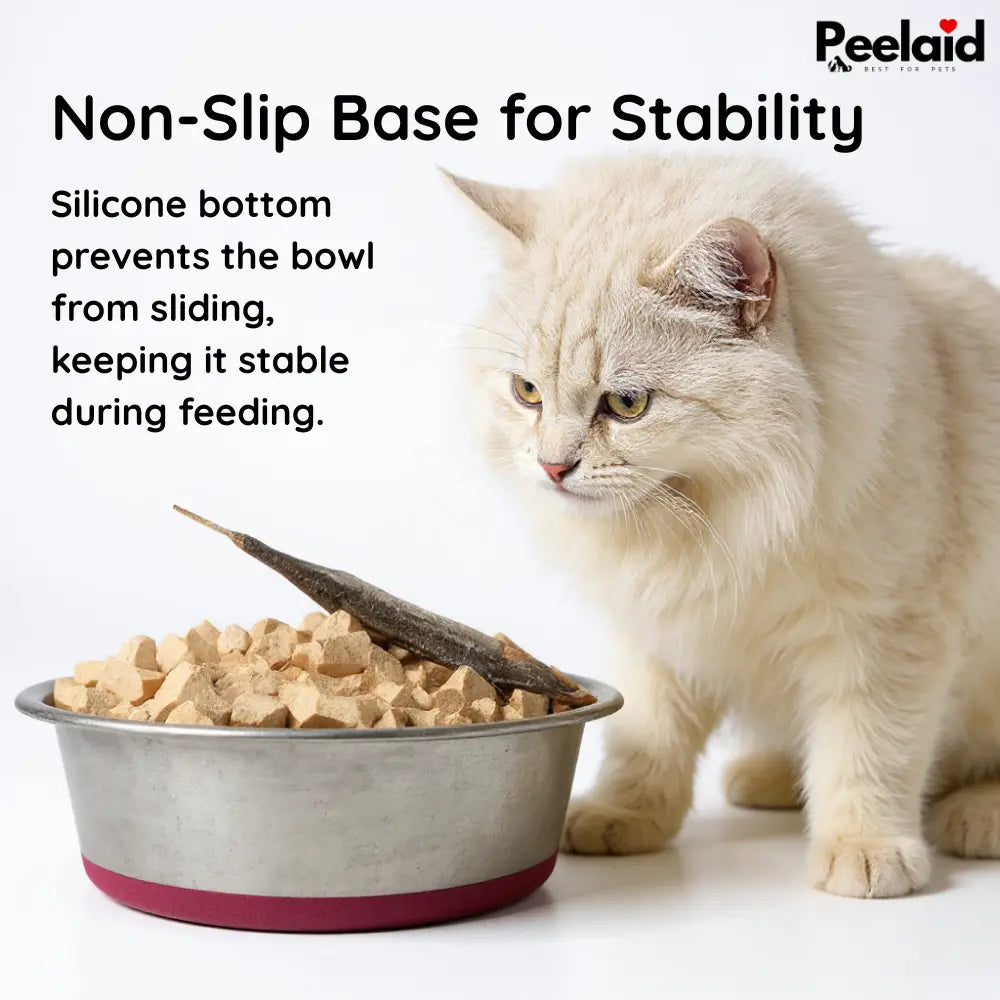 Peelaid™ Stainless Steel Anti-Slip Pet Bowl