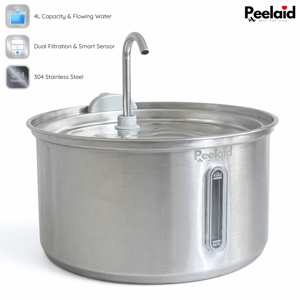 Peelaid™ SST Fountain WD
