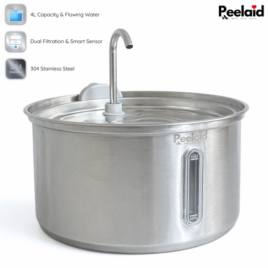 Peelaid™ SST Fountain WD