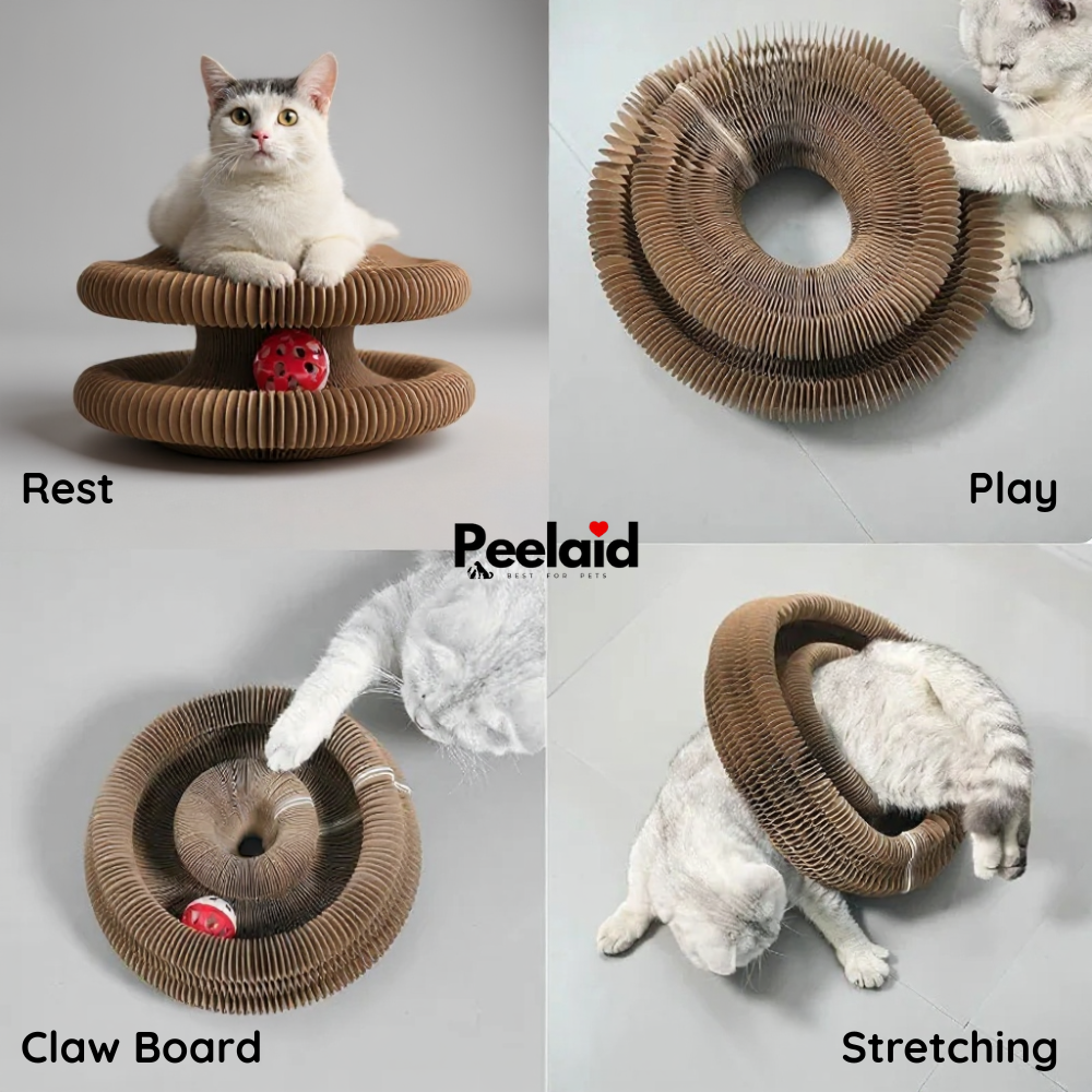 Peelaid™ Foldable Cat Scratcher Toy