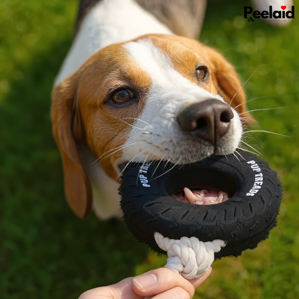 Peelaid™ PowerTire Chew Toy For Strong Dogs