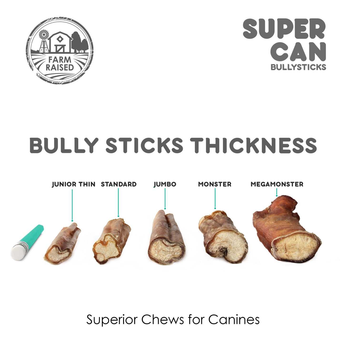 6" Standard Bully Sticks (25-Pack)
