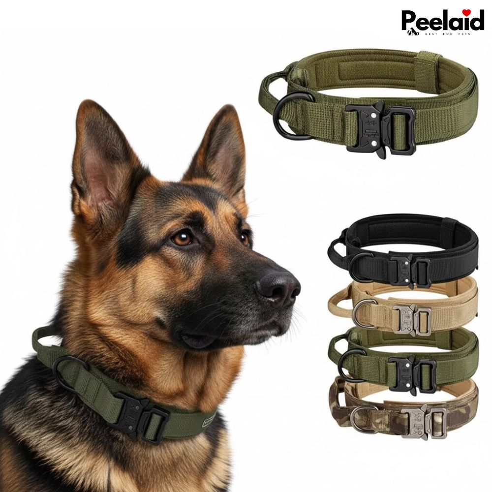 Peelaid™ Tactical Nylon Dog Collar with Metal Buckle