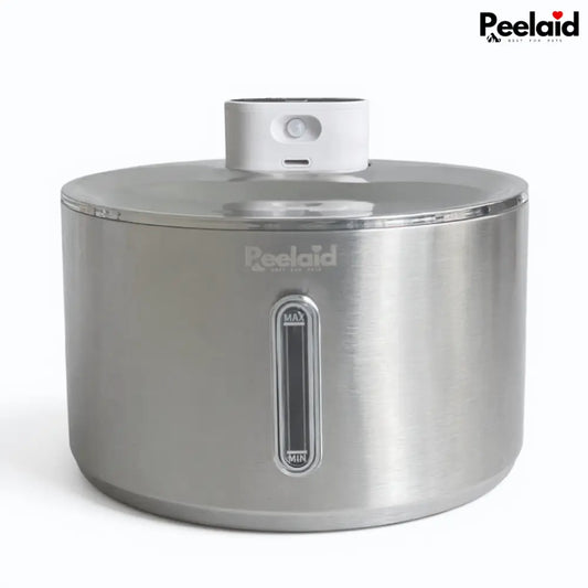 Peelaid™ SST Wireless Fountain