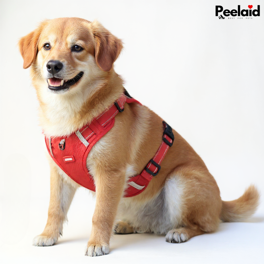 Peelaid™ No-Pull Reflective Dog Harness
