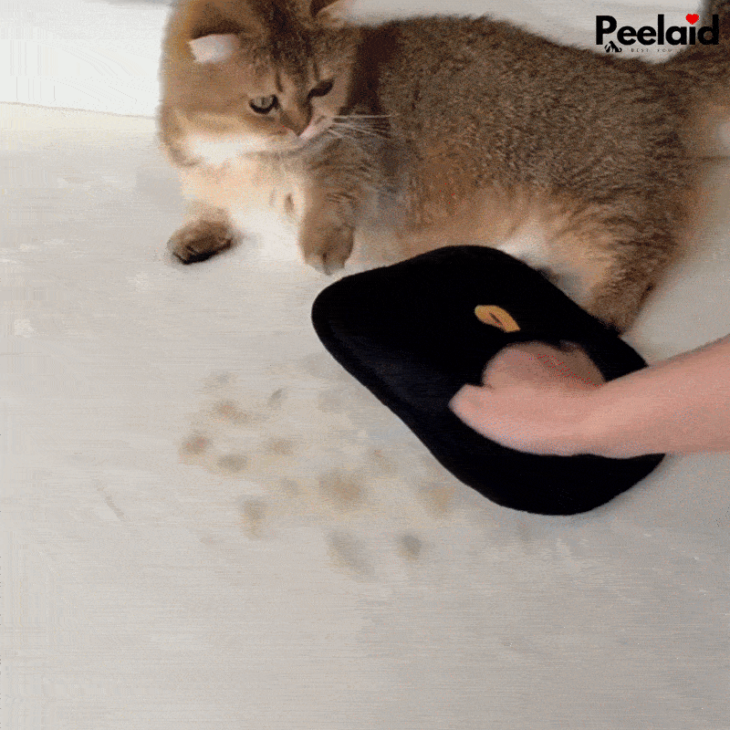 Peelaid™ 2-in-1 Pet Grooming & Hair Removal Glove
